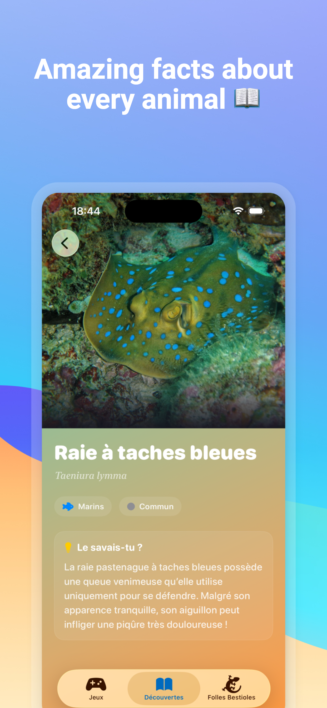 Zoom'Animaux screenshot 4