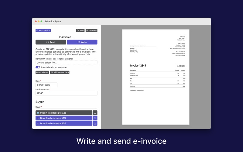 E-Invoice Space screenshot