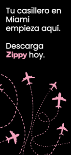 Zippy screenshot 7