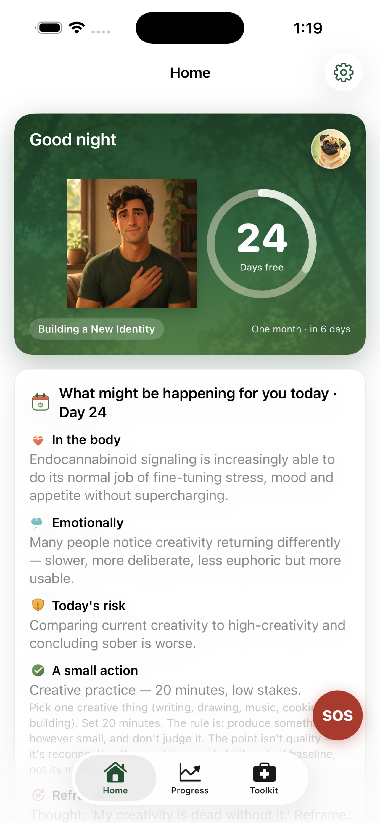 Joujik: Cannabis R screenshot 5