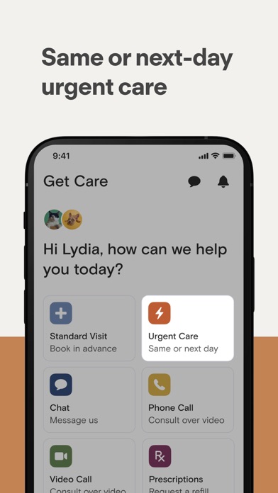 Modern Animal Screenshot