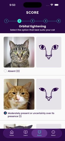 Feline Grimace Scale Screenshot 4 of 5