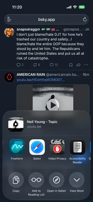 Video Privacy Extension screenshot 2