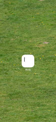 Note & Widget screenshot