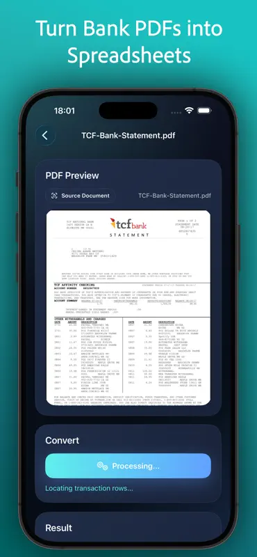 PDF Bank Statement Converter screenshot 1 of 8