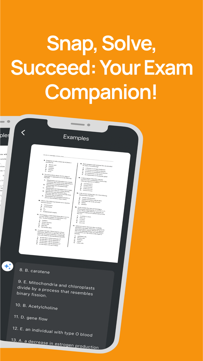 Ai Solver - Scan Question
