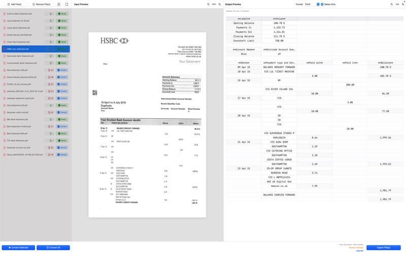 Bank Statement PDF Converter Screenshot