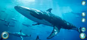 Whale Life Saga screenshot 1