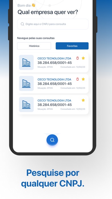 Screenshot #3 pour Consulta Empresas CNPJ MEI