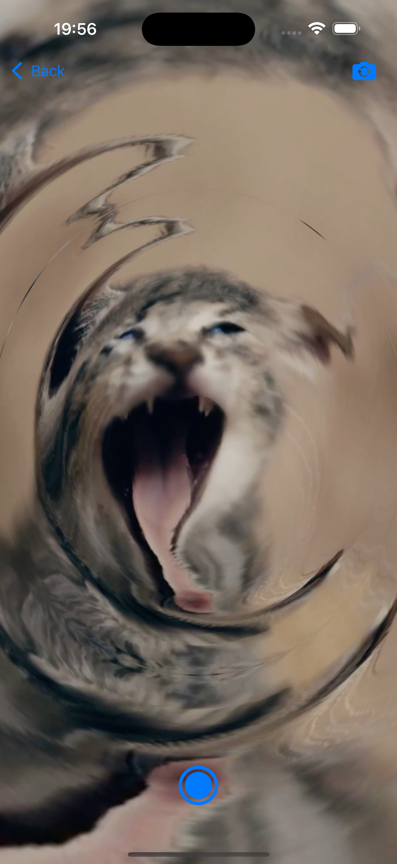 Time Warp VFX
