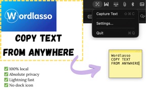 WordLasso screenshot