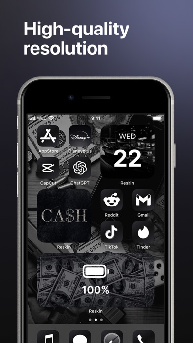 Reskin: Themes, Widgets, Icons Screenshot