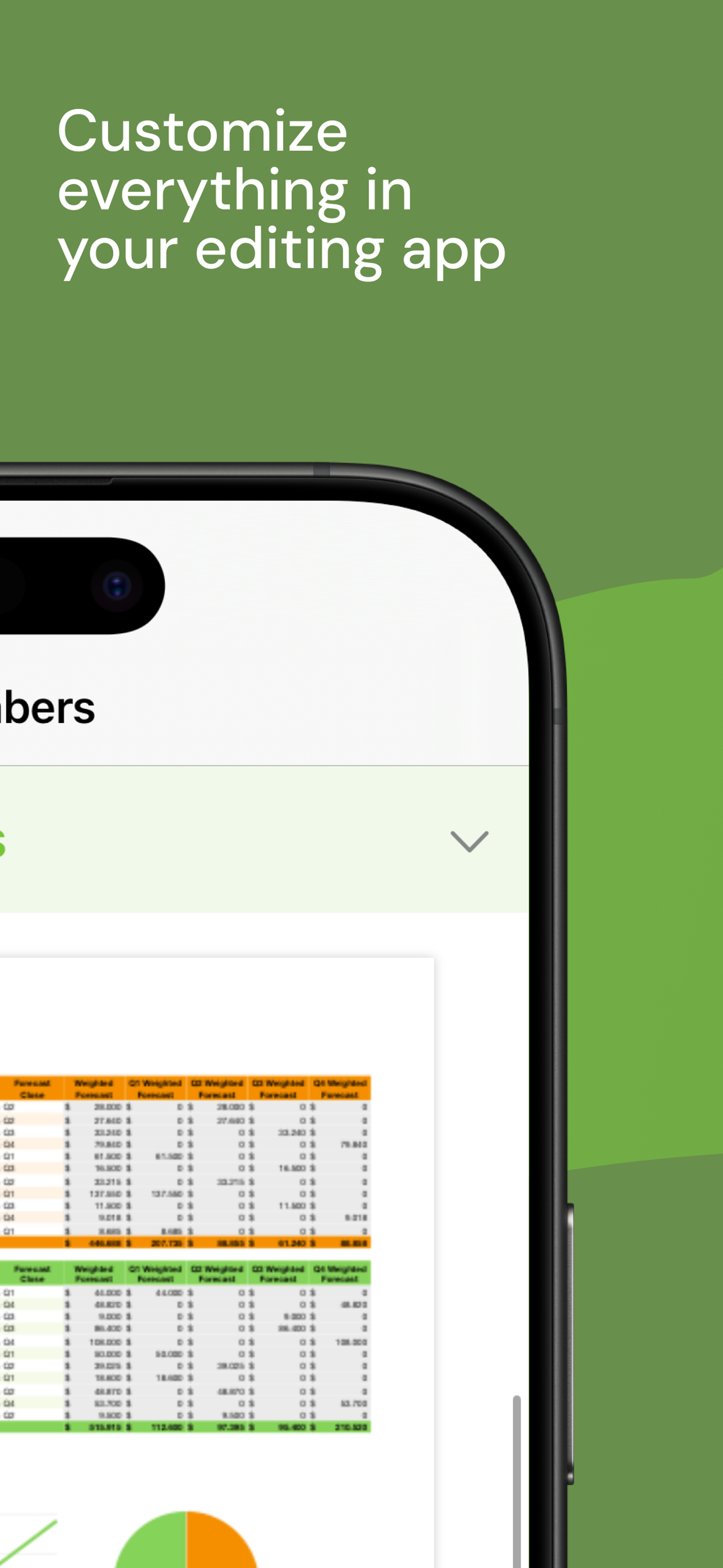 Templates for Numbers Pro
