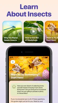 Bug ID - Insect Identifier iPhone image 4
