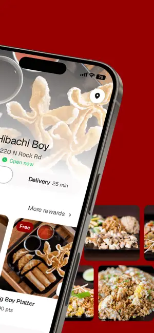 Hibachi Boy screenshot 2