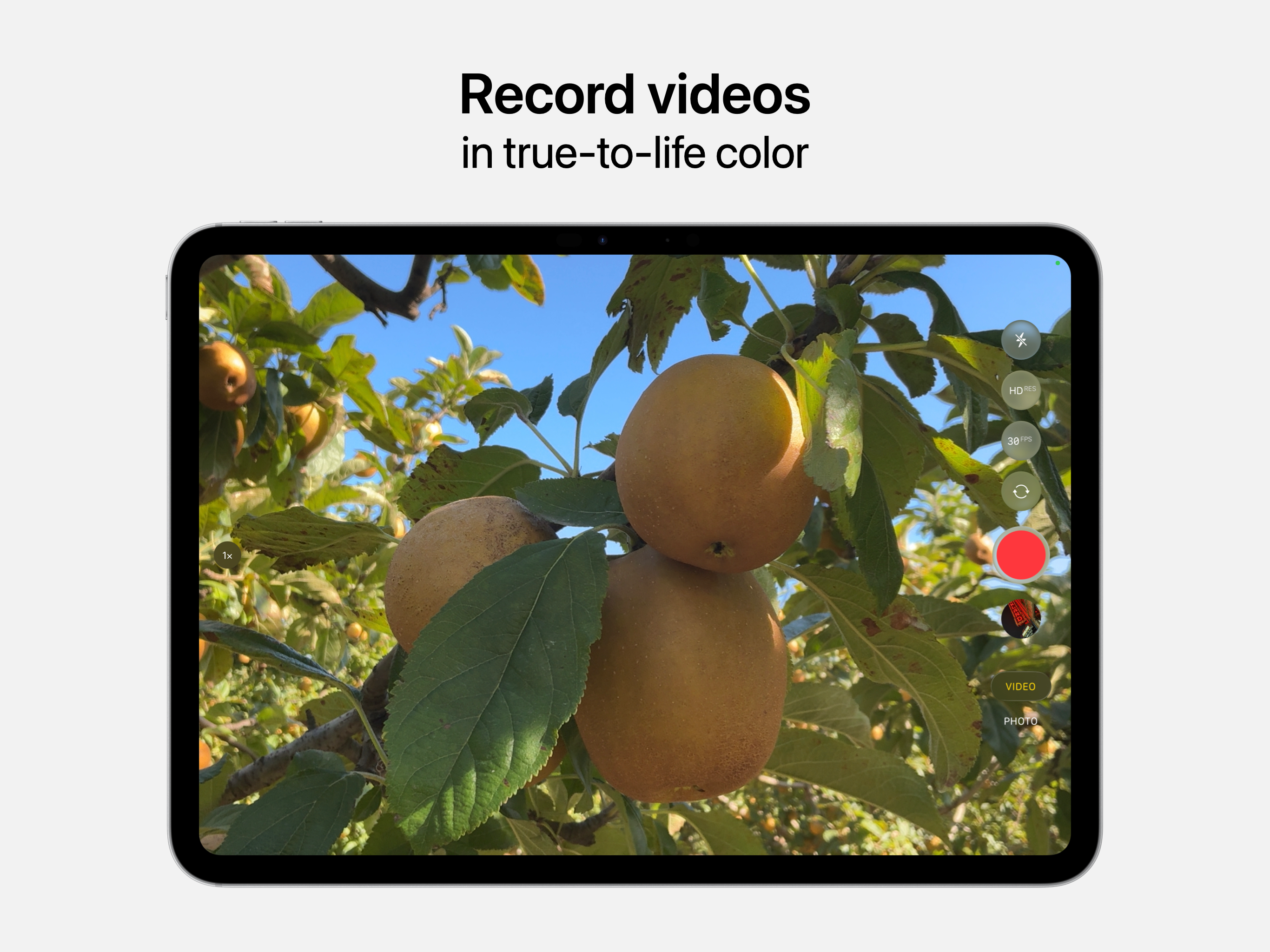 Camera