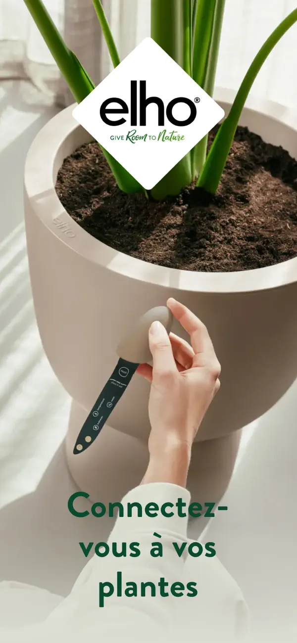 Screenshot #1 pour elho plant care Smart Pebble