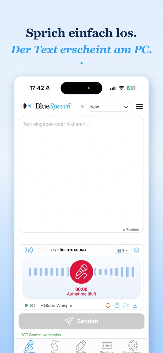 BlueSpeech screenshot 2