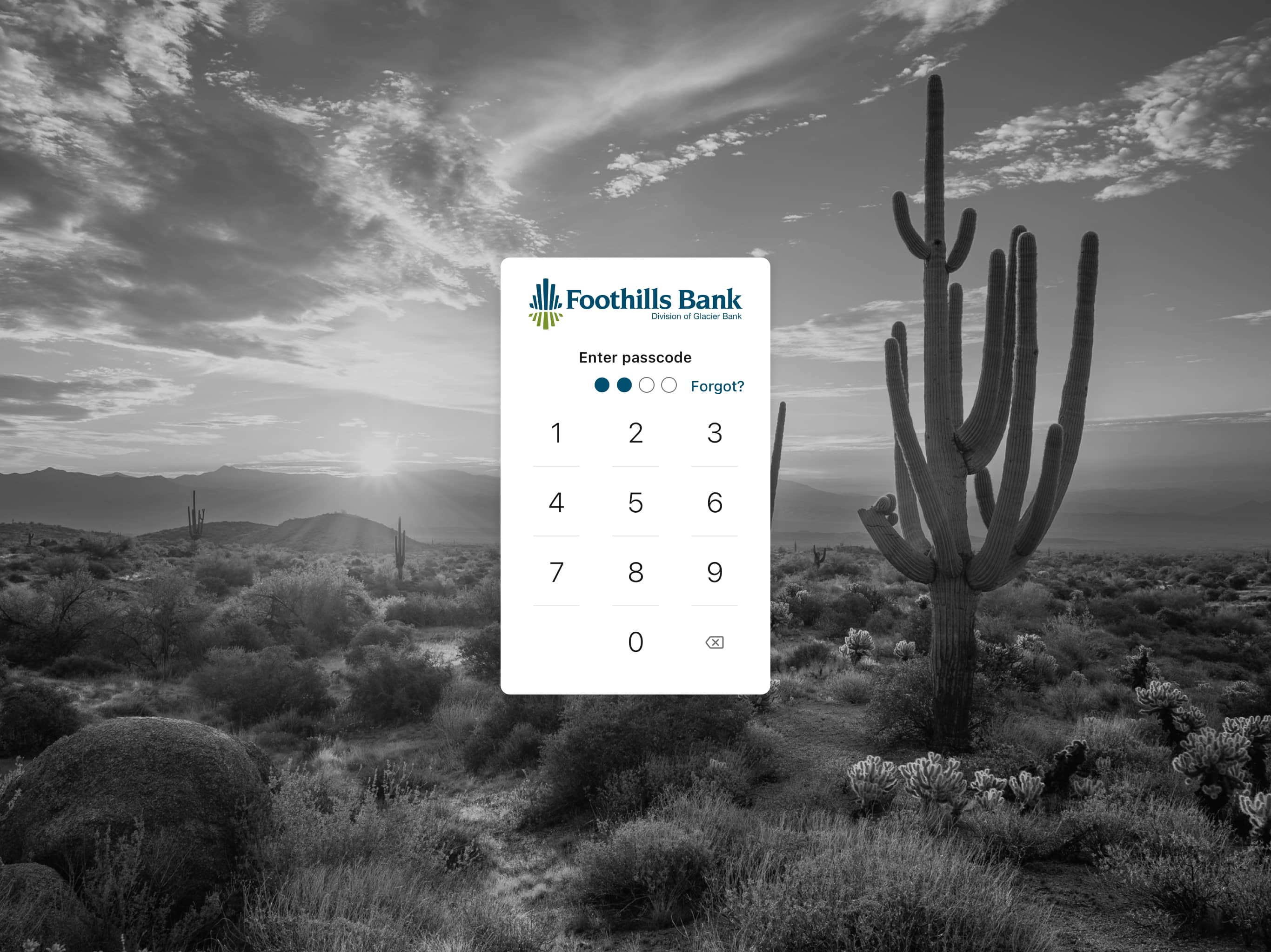Foothills Bank screenshot 6