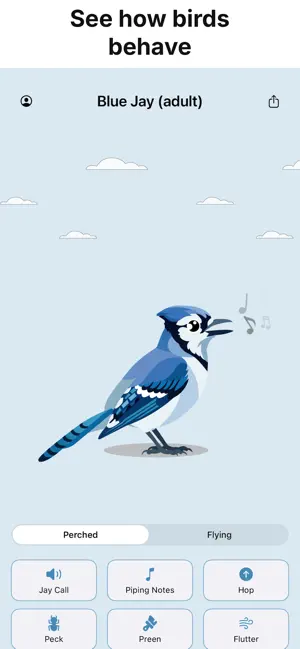 Smart Bird ID: Identify Birds screenshot 5