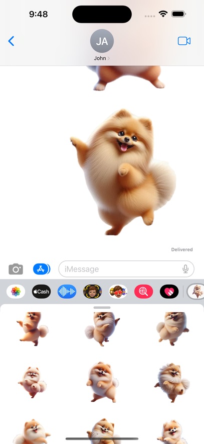 Dancing Pomeranian