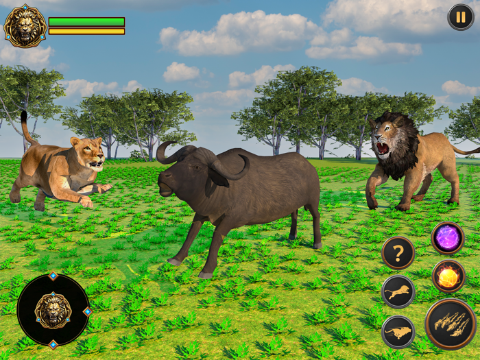 Lion Games Wild Animal Life