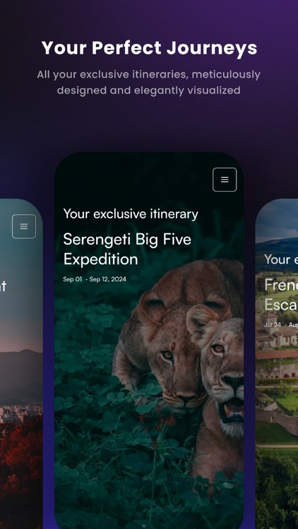 Travel Dynamo screenshot-5