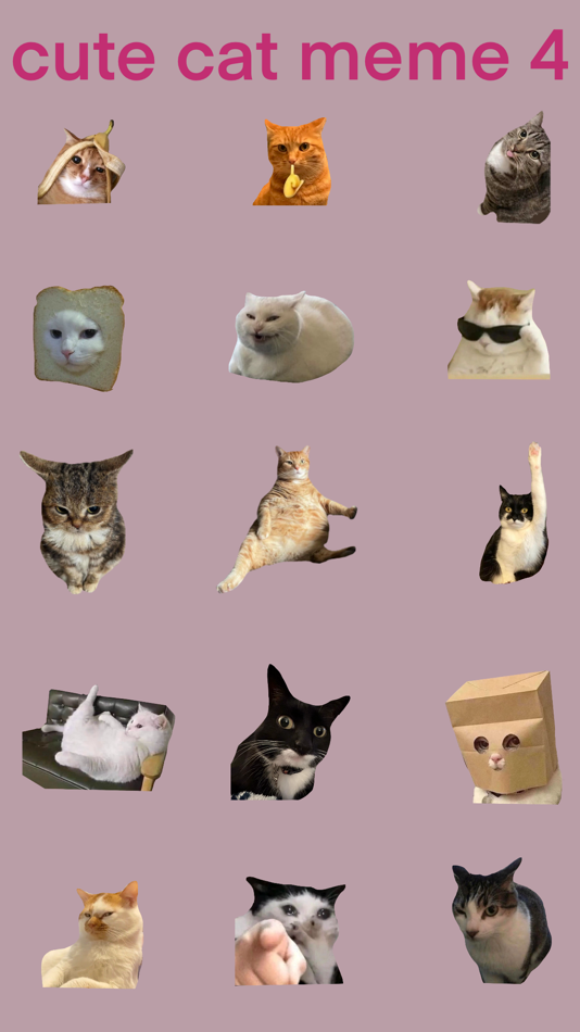Cute Cat Meme 4 - 1.0 - (iOS)