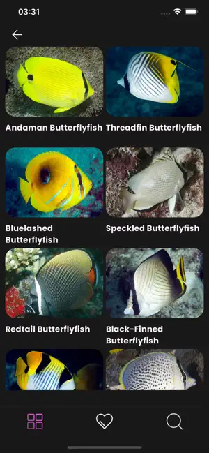 Maldivian Fish Guide screenshot 4