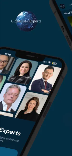 Global Law Experts screenshot 2