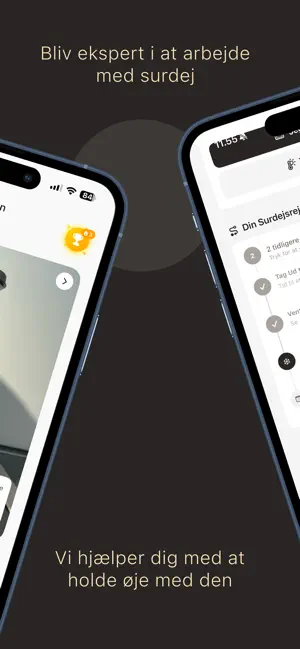 Surd screenshot 2
