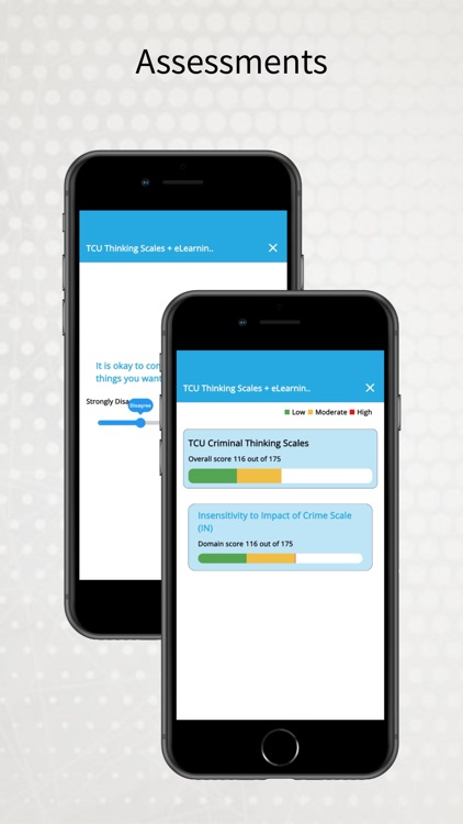 Lifeskills Link screenshot-3