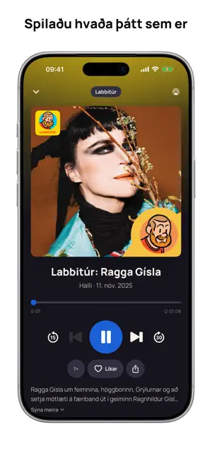 Iceland Radio Stations Online screenshot 4
