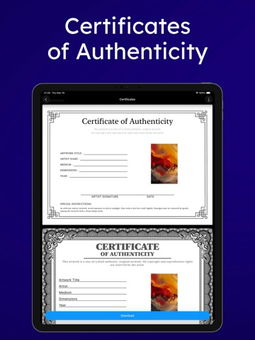 ArtStage - Display Your Art iPad screenshot