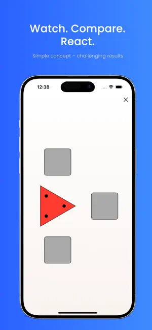 Triangle Test screenshot 3