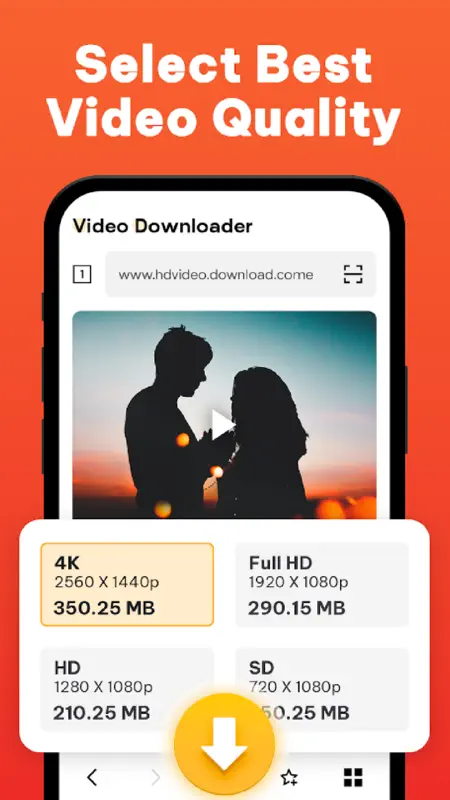 Video Downloader ․ screenshot 2 of 3