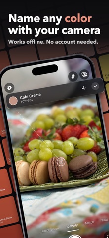 Color Identifier screenshot 1