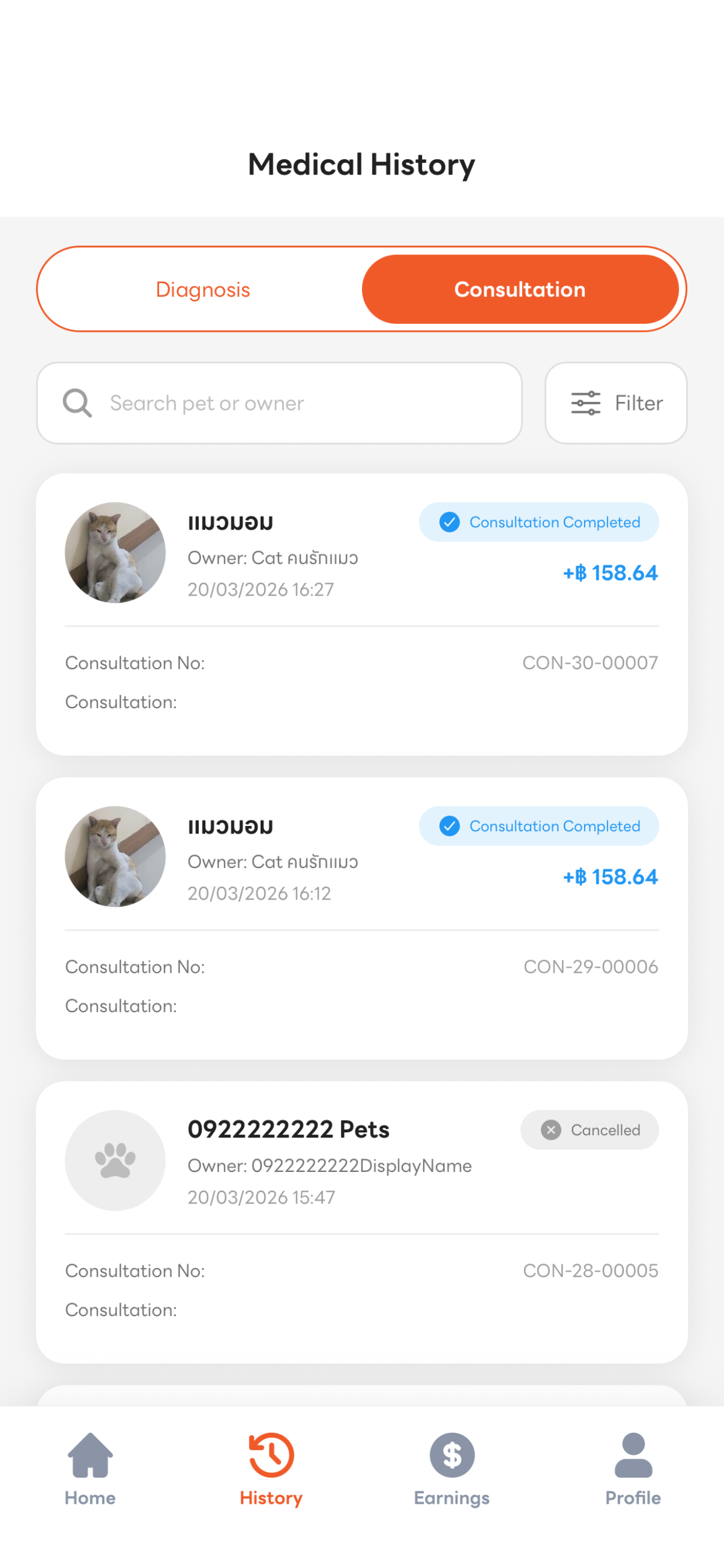 Pets Into Vet