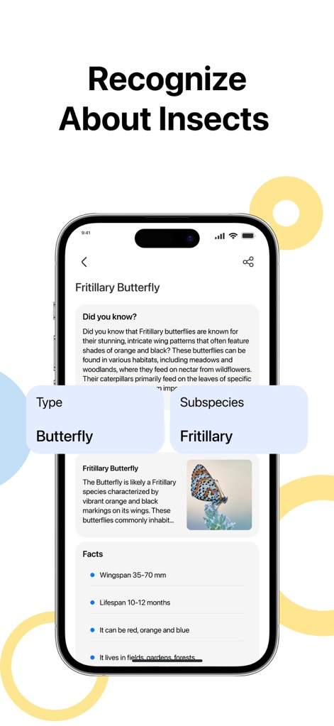 Lens - Photo Scan, Identifier - L'app aiuta a identificare gli insetti, presentando informazioni cruciali come il tipo Farfalla e la sua sottospecie Fritillaria, arricchite da curiosità e dati specifici.