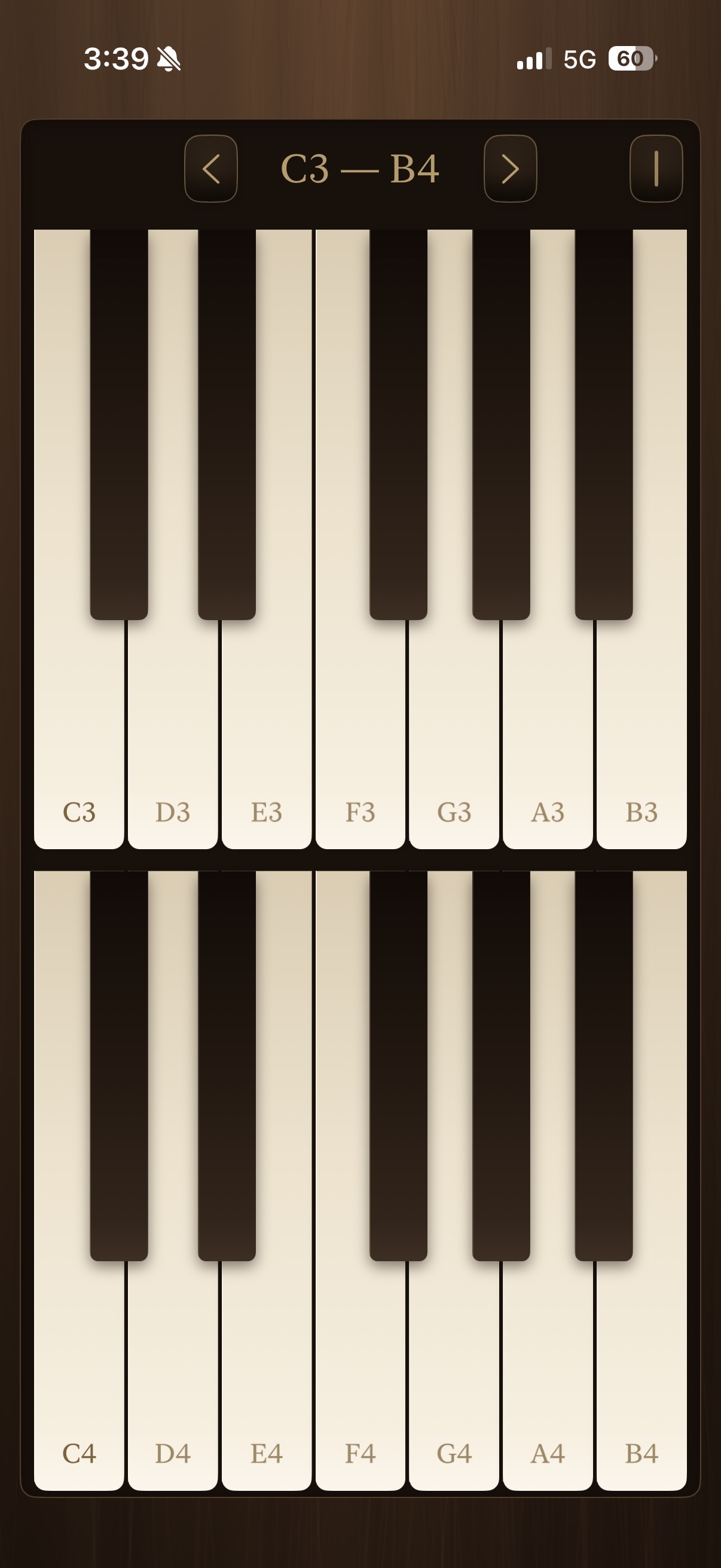 Screenshot 2 of Minimalist Piano