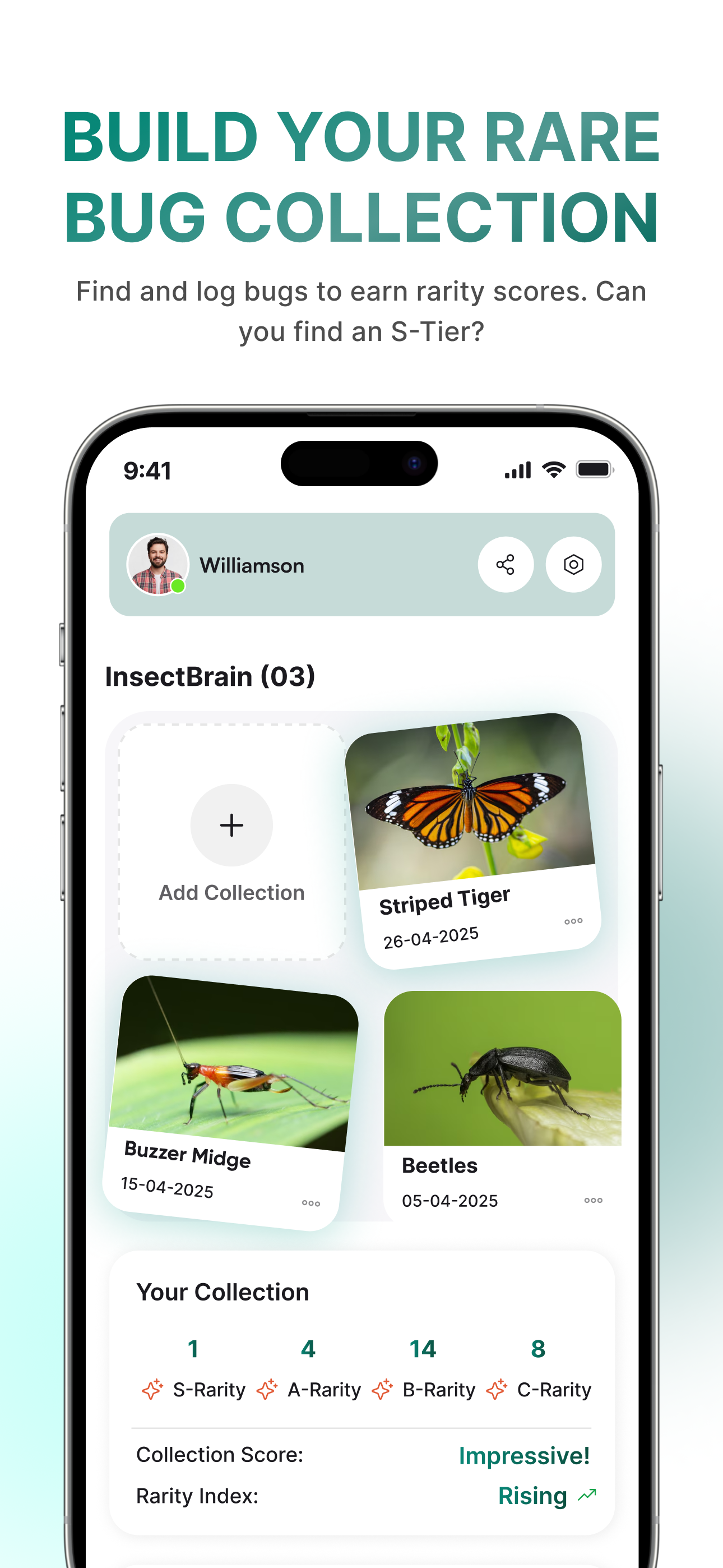 InsectBrain: Bug Identifier