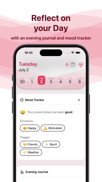 Journal: Plan & Reflect Screenshot