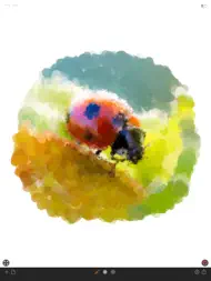 Photo Art Painter ipad bilder 2
