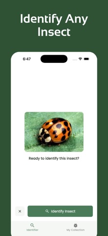 Insect Identifier - InsectsLen Screenshot 2 of 6