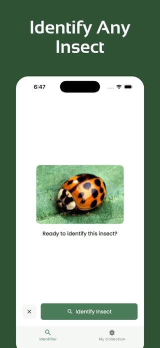 Insect Identifier - InsectsLen Screenshot 2 of 6