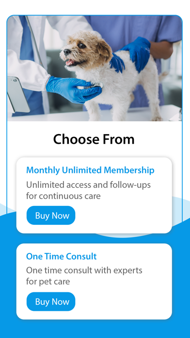 Cuddlytails-24/7 Vet & Sitting Screenshot