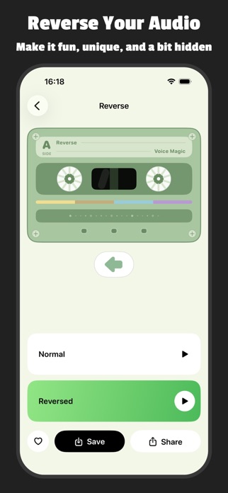 Voice Recorder & Changer App Screenshot 6 of 6