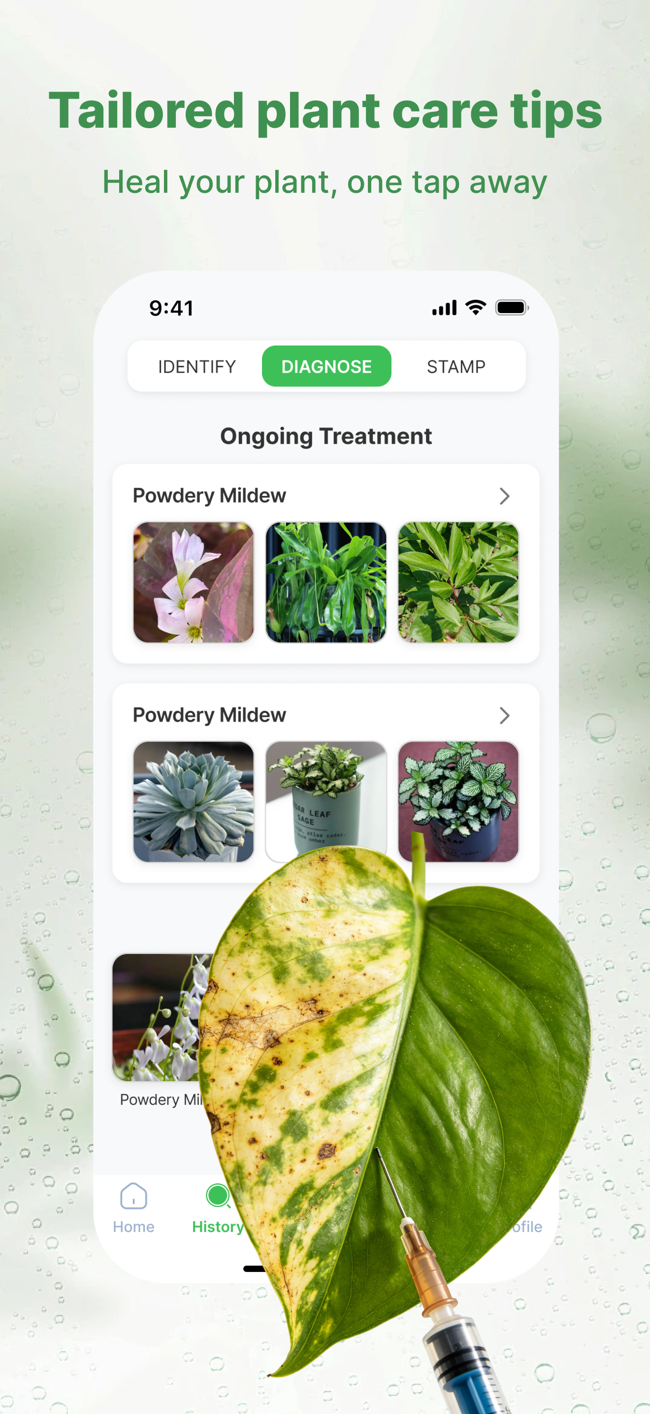 Plant:Care and Reminder