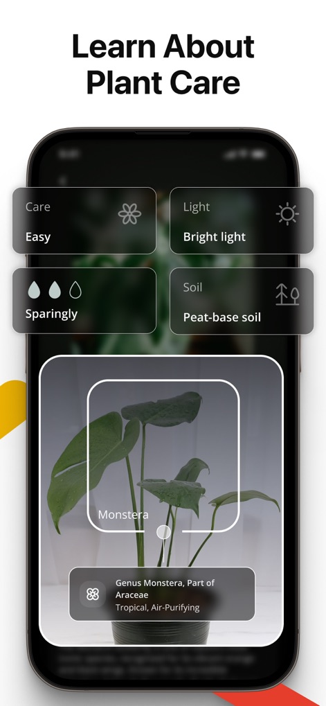 Lens AI: Identify Anything - This screen offers essential plant care advice, illustrating light conditions and soil types suitable for a Monstera plant.