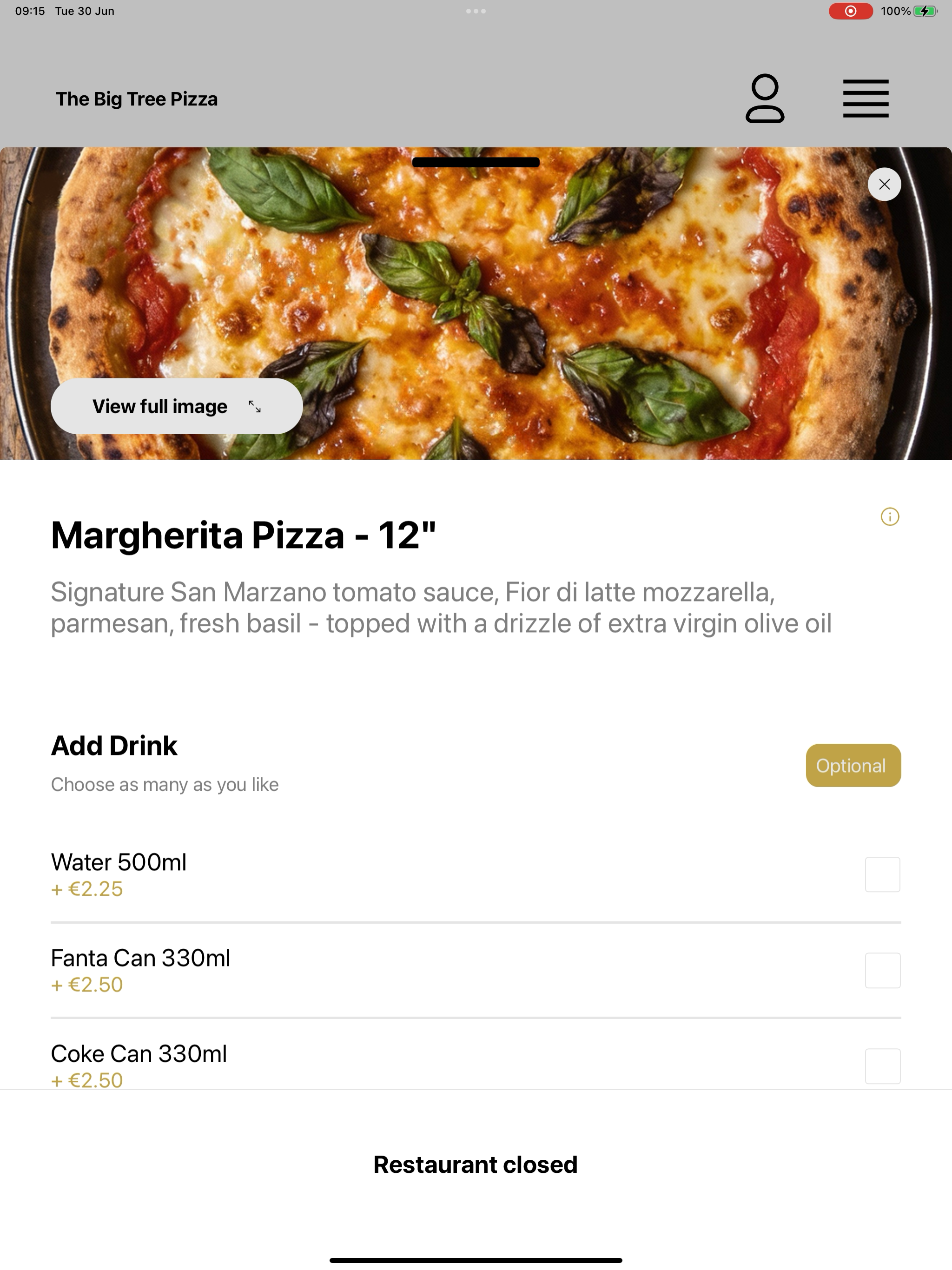 The Big Tree Pizza screenshot 14